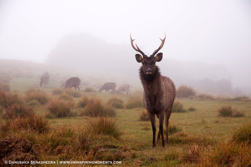 14103810056_b9c94f2ba4_b